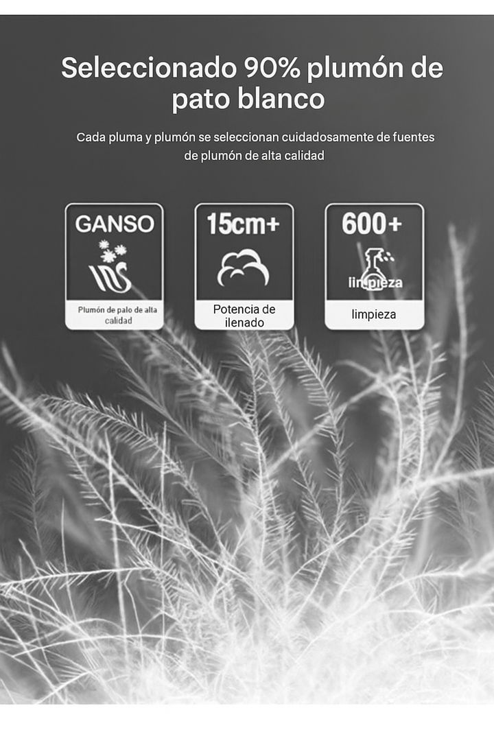 Ariston | Chaqueta Híbrida Premium